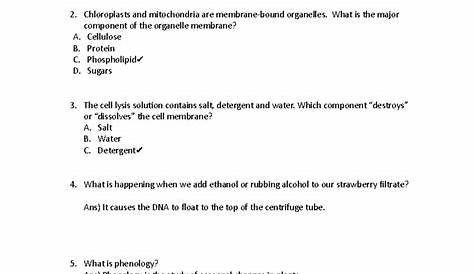 Lab Quiz 2 Микробиология и поддержка Подробнее о Современные тенденции проблемы Prelim Попытка обзор
