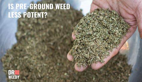 Оригинальное название: PreGround Weed: The Ultimate Guide