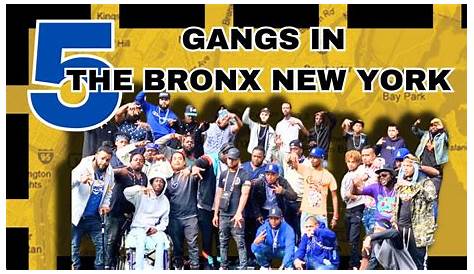 Oy Gang Bronx*live* Streets Новый лидер YouTube