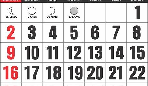 Fevereiro De 2025 Calendário Imagem Legal