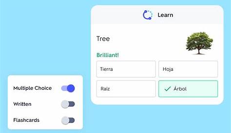 Quizlet Textbook Solutions Flashcards Учебные инструменты и решения