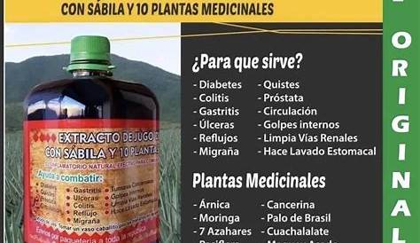 Jugo De Maguey Beneficios L Asado Propiedas Curativas Jugando Ando (недоступная ссылка — история).