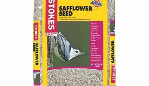 Fleet Farm Bird Seed 40 Lb Stokes выбирает дикую пищу