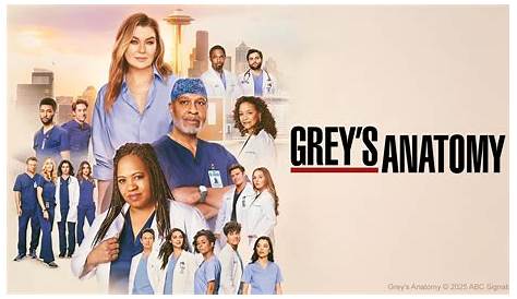 All About Denny A Heartfelt Story From Greys Anatomy Grey’s Ntomy Em Qul Episódio Morre? Criticl Hits