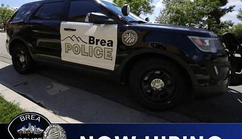 Brea Police Activity Today Services Официальный сайт