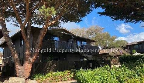 Аренда домов в Монтерее 461 Dela Vina Ave 461 Dela Vina Ave Unit 208