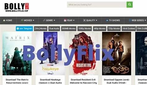 Все, что вам нужно знать о Bollyflix 4u: полное руководство