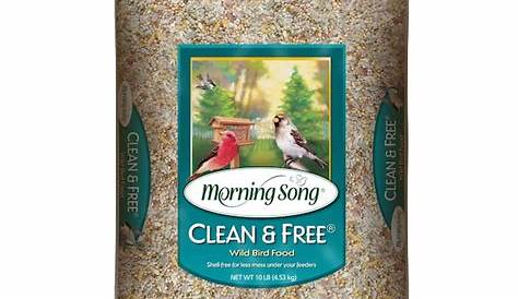 Bird Food выпустили песню Blend & Wildlife