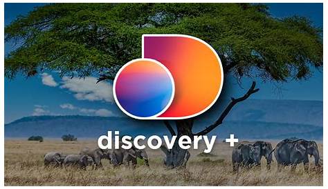 Auth Discovery Plus: как сбросить пароль?