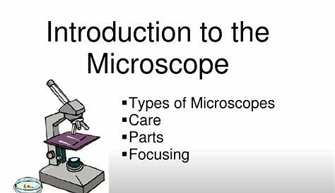 Что открытие совпало с изобретением микроскопов Ppt History Microscope Powerpoint Presentation