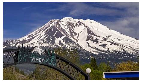 Weed Ca Road Conditionschat Messenger: каково это — жить в исторической Северной Лифорнии
