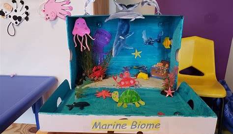 Проект Shoebox Biome Marine H E School S.S.