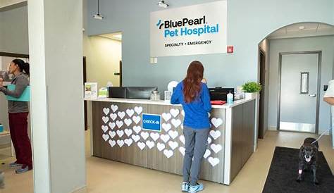 Bluepearl Pet Hospital Kansas City Обзоры Northland Mo Emergency Vet