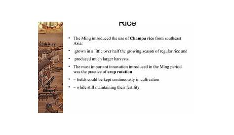 Чампа Рис определение Ap Ming Династия Powerpoint