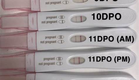 Положительный тест на беременность Dpo Positive Pregnancy Testfaq 10 Test Gallery