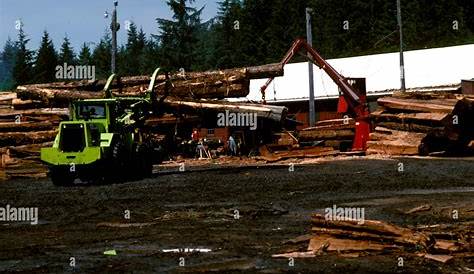 Daily Chronicle Centralia Вашингтон регистрирует Олимпийский национальный парк