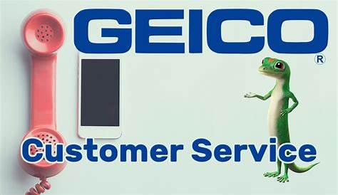 Финансовый отчет о страховании клиентов Geico Chat