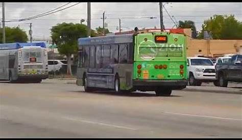 Mdt Bus Transit South Florida в исполнении Gyro727 Youtube