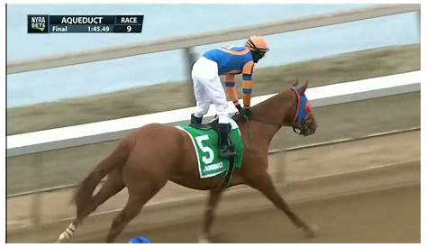 Aqueduct Race переиграет 9 января 16 2022 Youtube