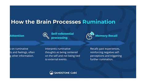 Perseverating Vs Ruminating Mind Brain & Behavior 5 марта, США