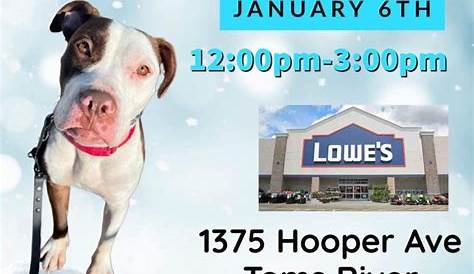 Loews Hardwarefav Events Lowes Meet and Greet Lowe’s Home Improvement 1375 Hooper Avenue Toms