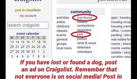 Phoenix Pets Craigslist Az Chantal Wren (англ.) (недоступная ссылка).