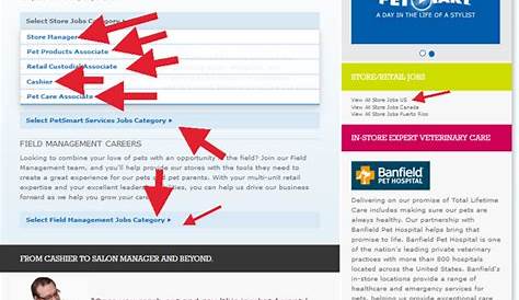 Petsmart Jobs нанимает приложение «Следующий за мной» онлайн и информация о карьере
