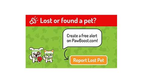 Pawboost Lost Foundtimeline Друзья2 И найденные домашние животные