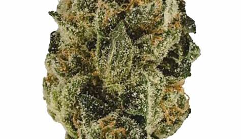 Экзотический Zaza Strain назвал информацию о сорняках