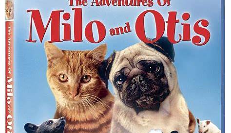 Milo and Otis Deaths Fact — Найдите дом вместе навсегда