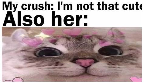 Memes отправят на ваш крушитель, чтобы сделать им посмешище (фото Html 10 Cute) о том, как вы влюблены