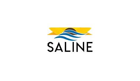 Saline County Booking Activity 20 сентября