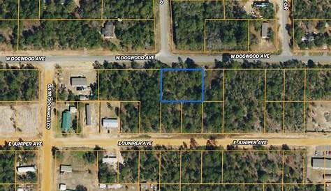 Craigslist Walton County Florida Defuniak Springs Fl Timberland Property Undeveloped (недоступная ссылка)
