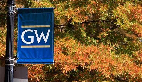My Gwu Edu Fall 2024 Шле Магге