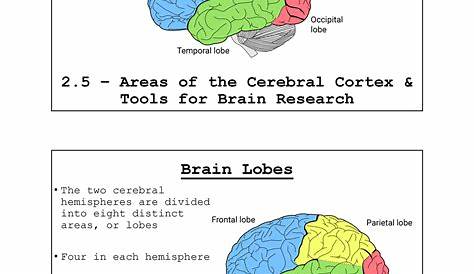 Психология Ap 3 Quizlet Psych Mod 9 Диаграмма