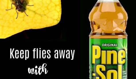 Pine Sol Skunk Repellent Самодельная муха с Keep Flies Away