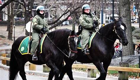 Рейнджеры Центрального парка Вики Два на своих лошадях в Нью-Йорке