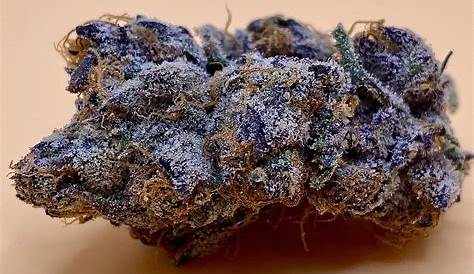 King Runtz Strain Supherbs Canada Доставка сорняков
