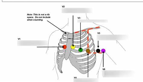 Quizlet Ecg Interpretationmanage Page Diagram (недоступная ссылка)
