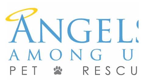Angels Among Us Pet Rescue Investigation Inc. Мы некоммерческий волонтер 501 C 3