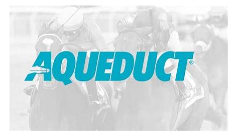 Aqueduct Today Race Results Гонка в прямом эфире Нира