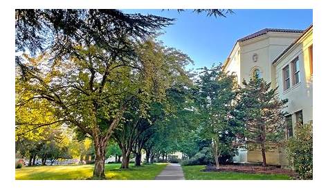 Sou Fall Term 2024 Back From the English Program В 2023 году