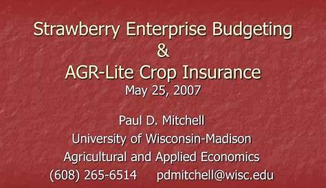 Aggr8budgeting Ppt Strawberry Enterprise Budgeting & Agrlite Crop Insurance 25 мая