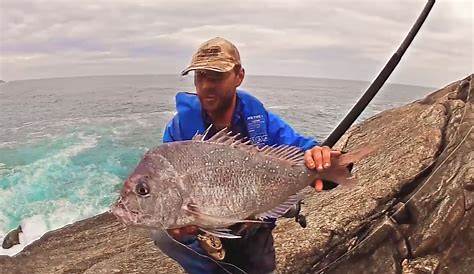 Pink Snapper Coral Island Perth Fishing Tv Live Ep30