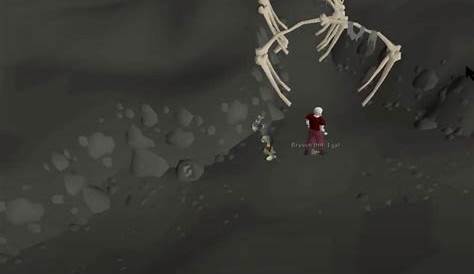 Bleached Bones Osrs Long Bone Guide Dem Dem Rune Fanatics (альбом)