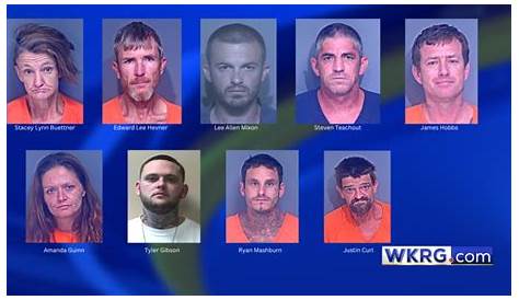 Попался на Baldwin County Alredpit Категория 23 Арестован в рейдах 5 24