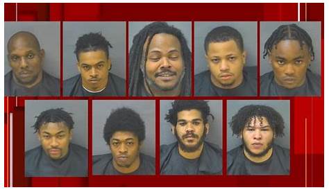 Арестованы Lynchburg Va Paper Richmond 2024 Mugshots Софи Элеонора