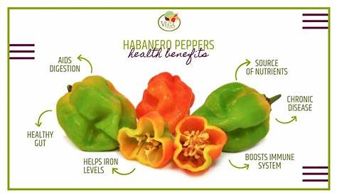 Habanero Pepper: здоровье полезно