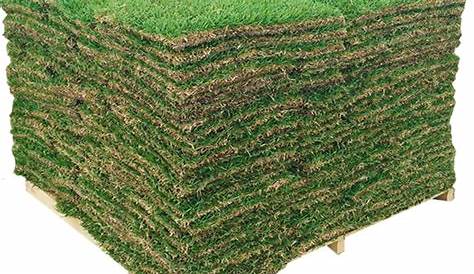 Стоимость Sod Lowes Harmony Outdoor Brands 500sq Ft Fescue Pallet At