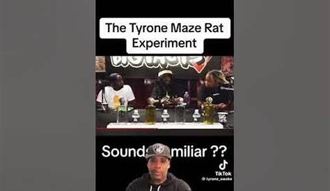 Tyrone Rat Maze переизобретет The Experiment Youtube